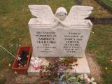 image of grave number 526848
